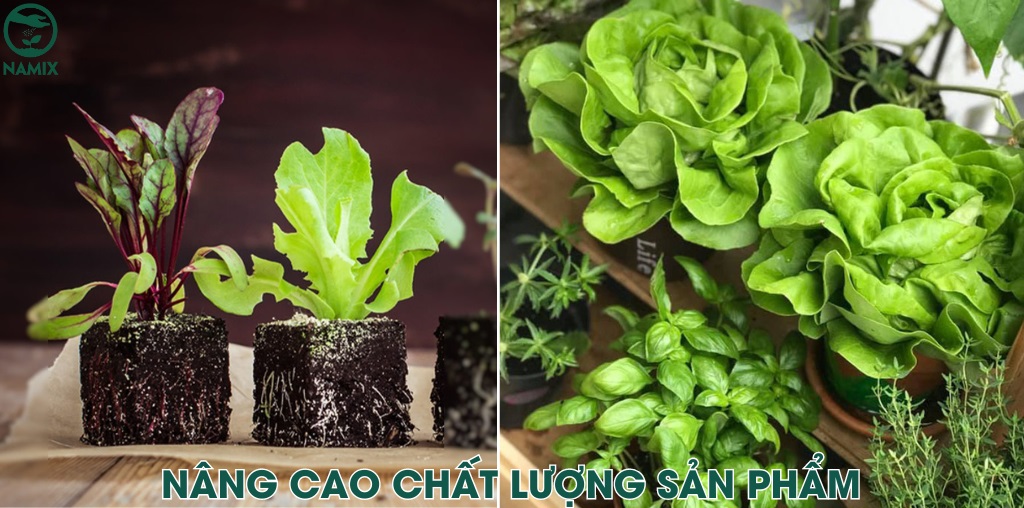 chat luong san pham