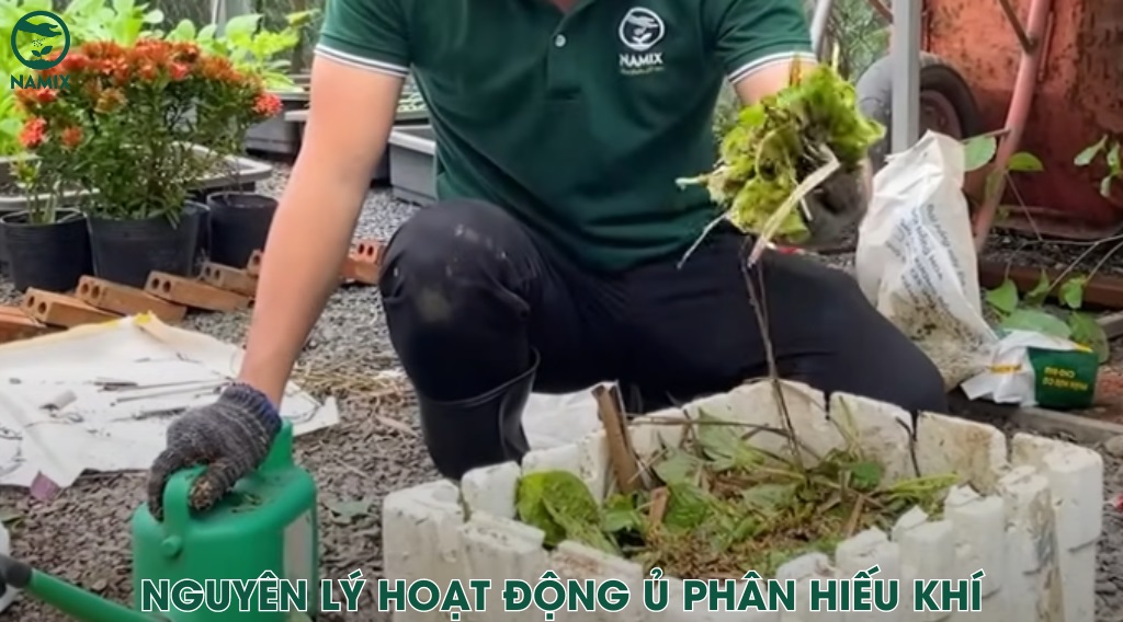 nguyen ly hoat dong