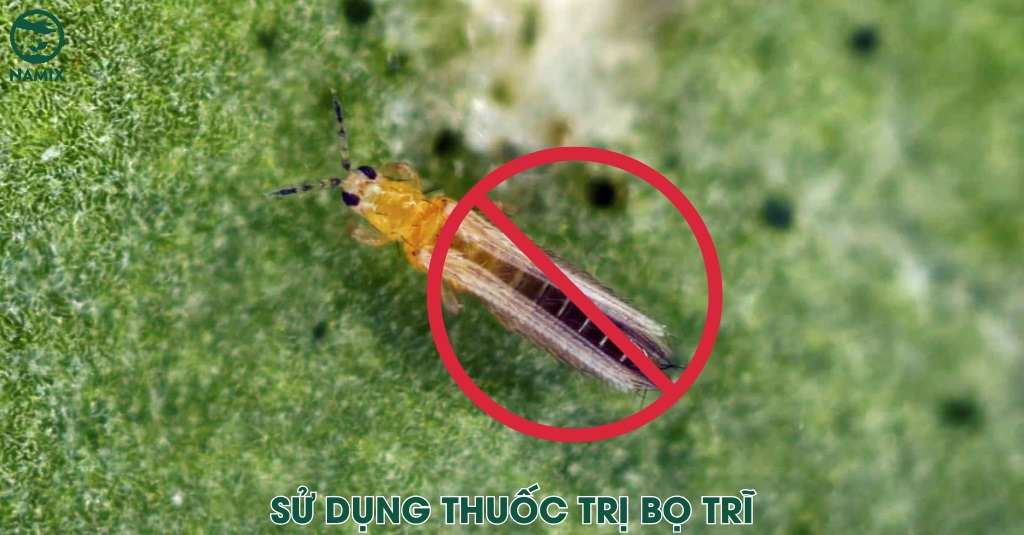 su dung thuoc tri bo tri