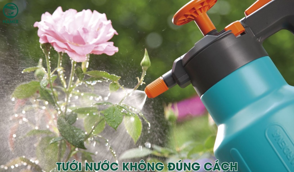 tuoi nuoc khong dung cach