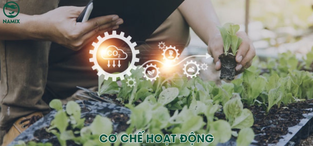 co che hoat dong