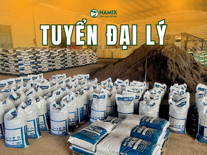 tuyen dai ly