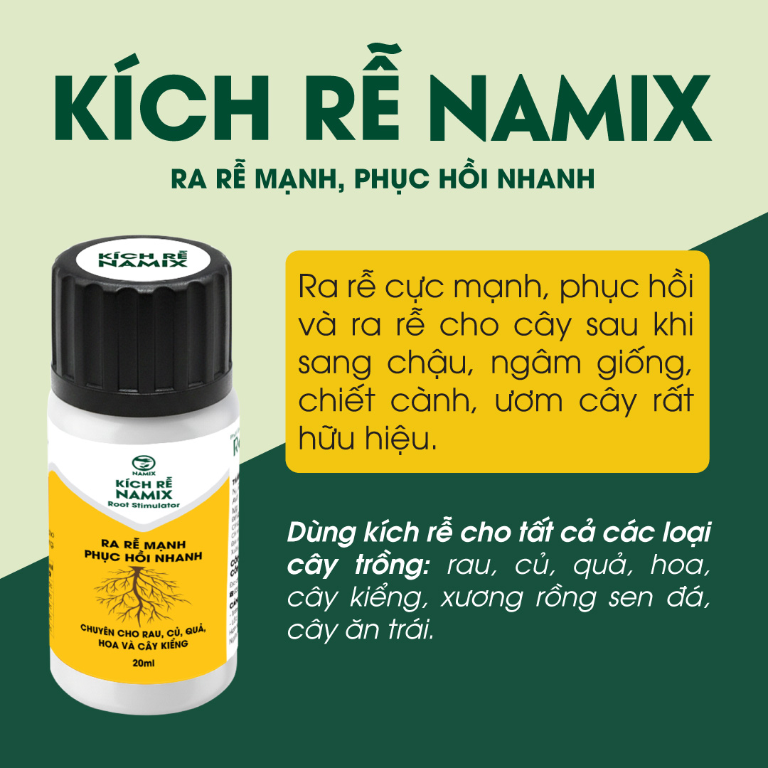 kích rễ namix